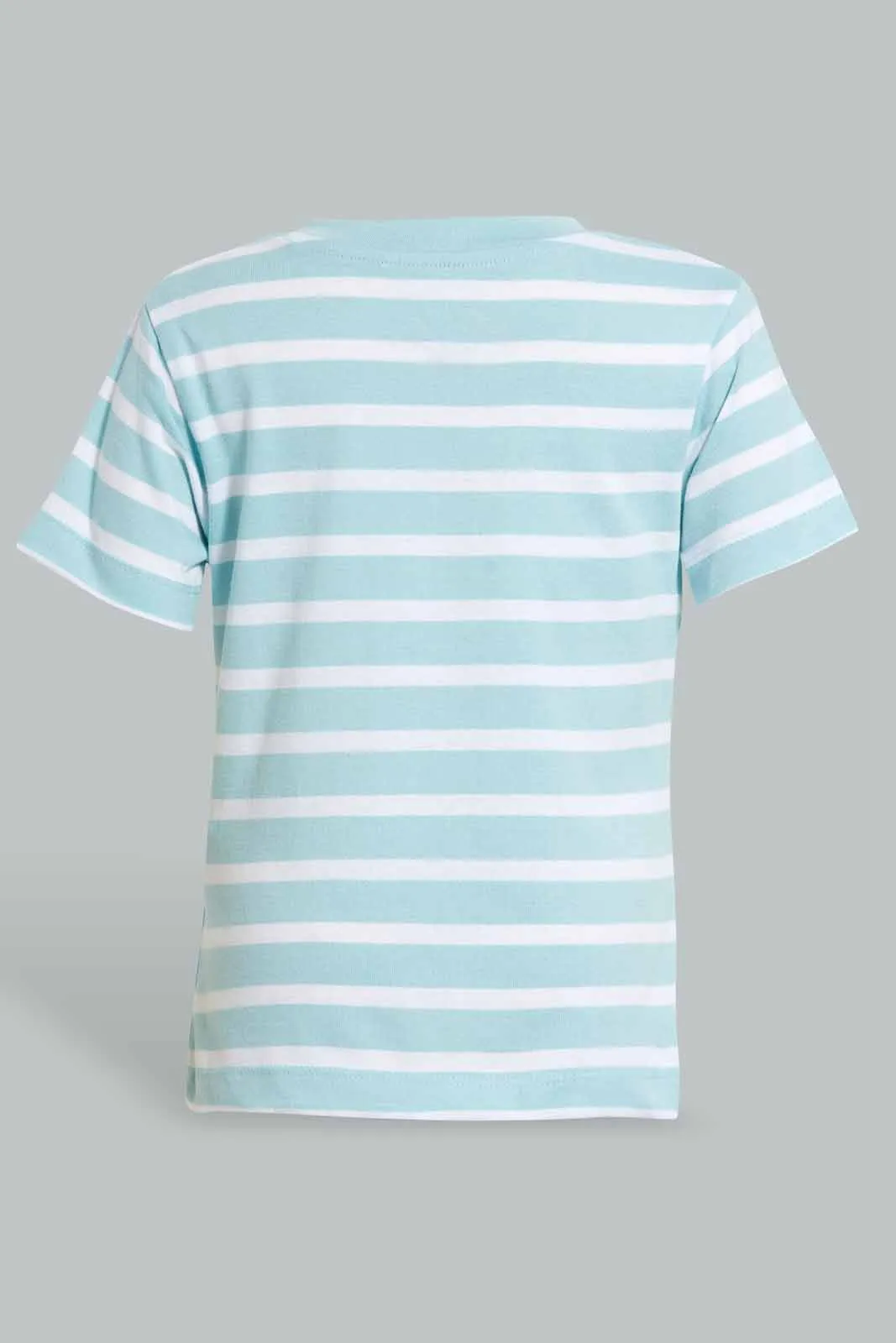 Grey And Blue Henley T-Shirt For Baby Boys (Pack of 2)